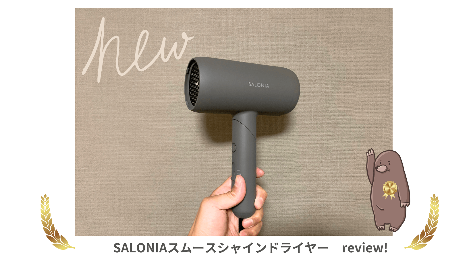 実際に使った】サロニアスムースシャインドライヤーを徹底レビュー 