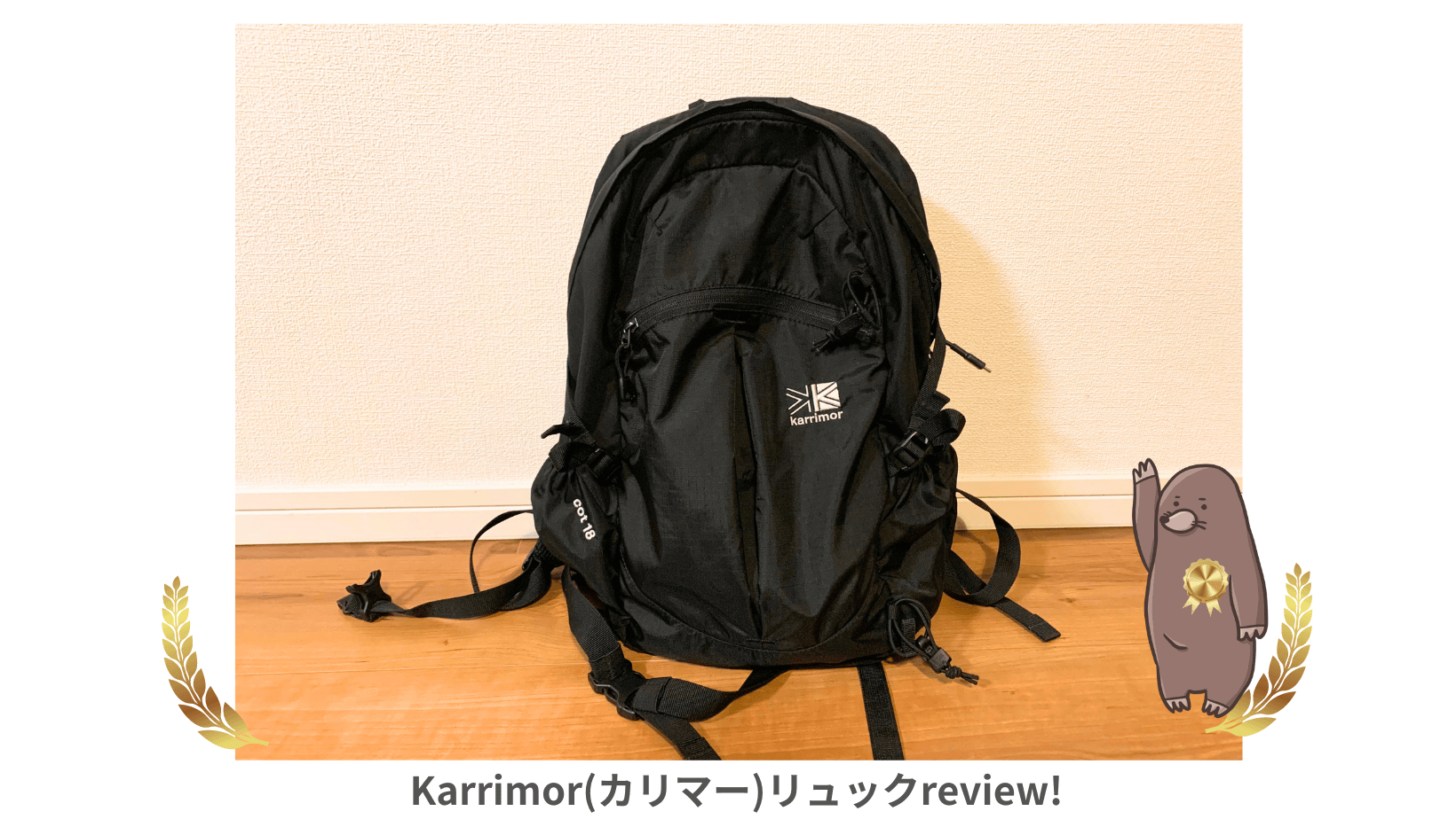 1年使って正直レビュー】カリマー cot18は登山にも通勤にも使える 